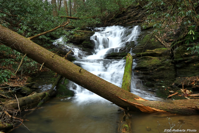 Mt_Airy_Creek