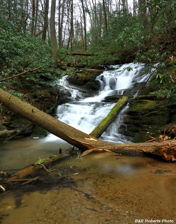 Mt_Airy_Creek