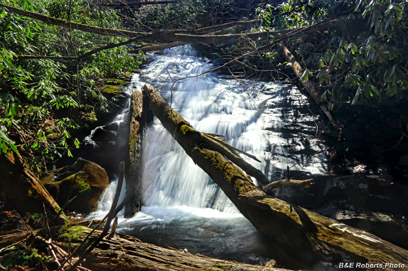 Lower_Mossy_Cove_Falls