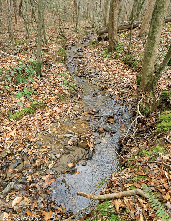 Creek