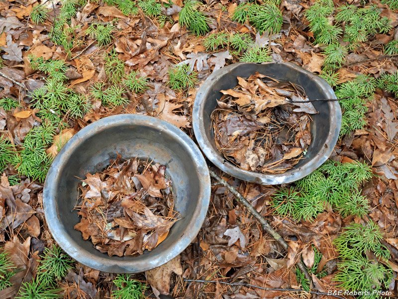 Basins