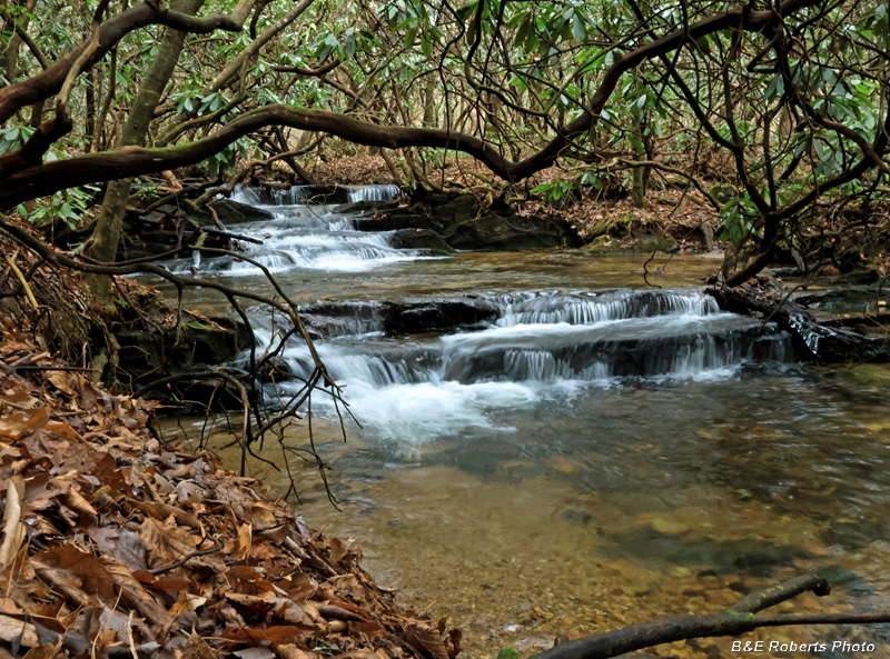 Frick_Creek
