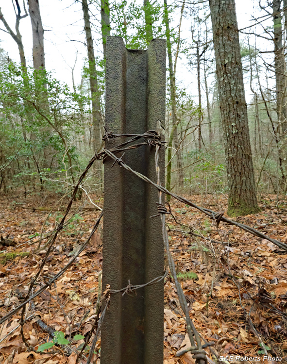 Wire_Fence_post