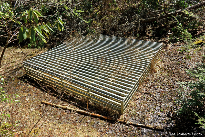 Grated_Herbert_shaft