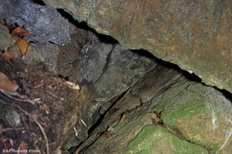 Second_level_caved_adit