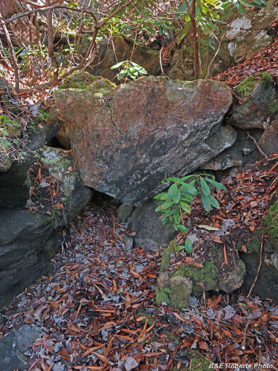 Old_Tunnel_Cut-lower