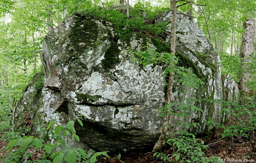 Creek_boulder