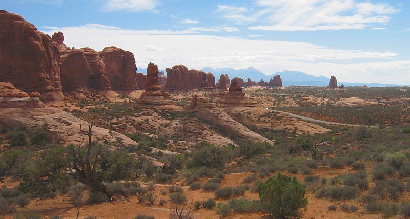 Arches_NP_view